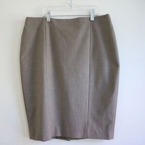 Ann Taylor Beige Pencil Skirt Petite